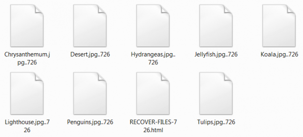 암호화 된 파일의 파일 확장자는 모두 .726입니다