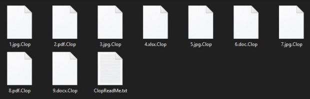 Clop 랜섬웨어가 접근 할 수없는 파일